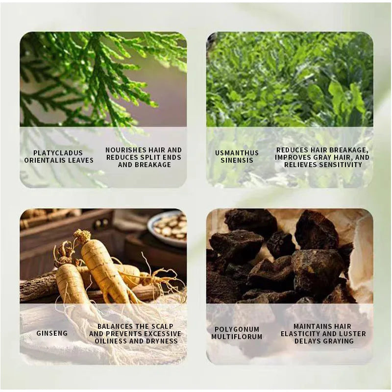 Bloomence™ - The Self-Care That Starts In The Scalp